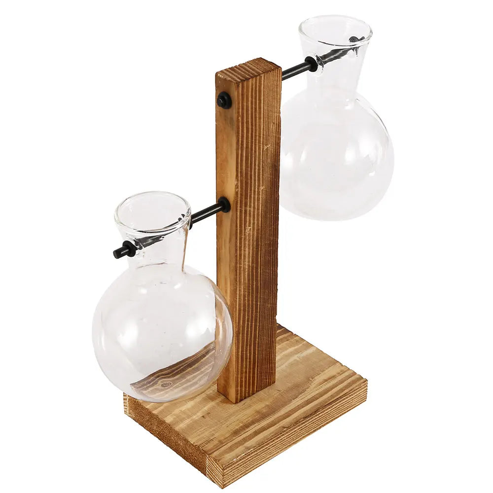 Glass Desktop Planter Bulb Vase