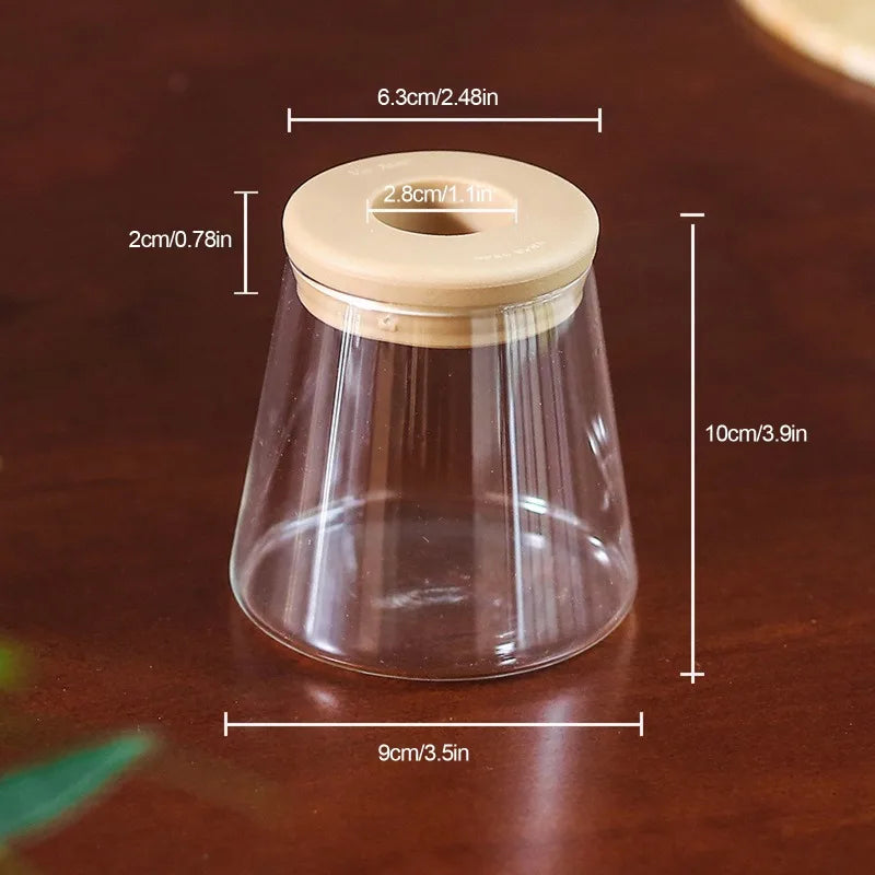 Mini Hydroponic Flower Pot Vase