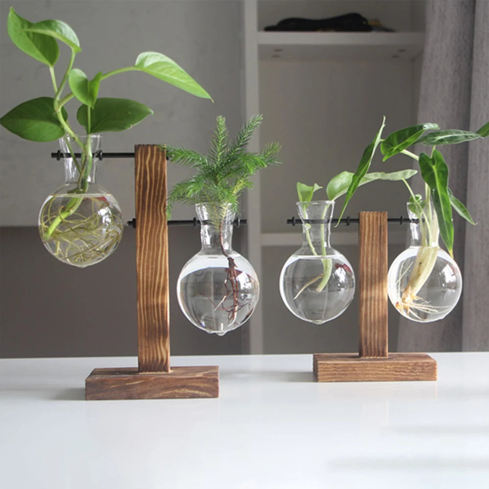 Glass Desktop Planter Bulb Vase