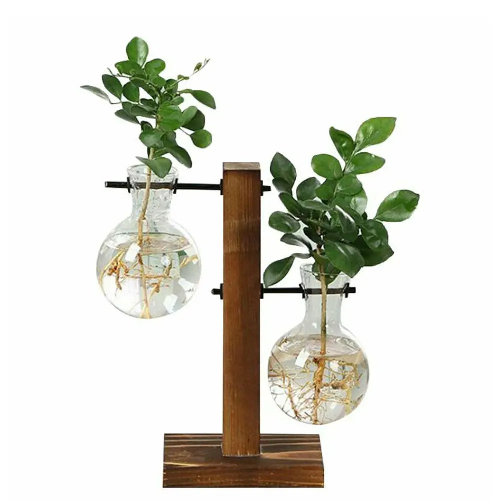 Glass Desktop Planter Bulb Vase