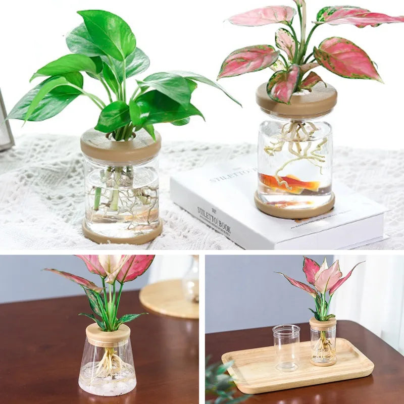 Mini Hydroponic Flower Pot Vase